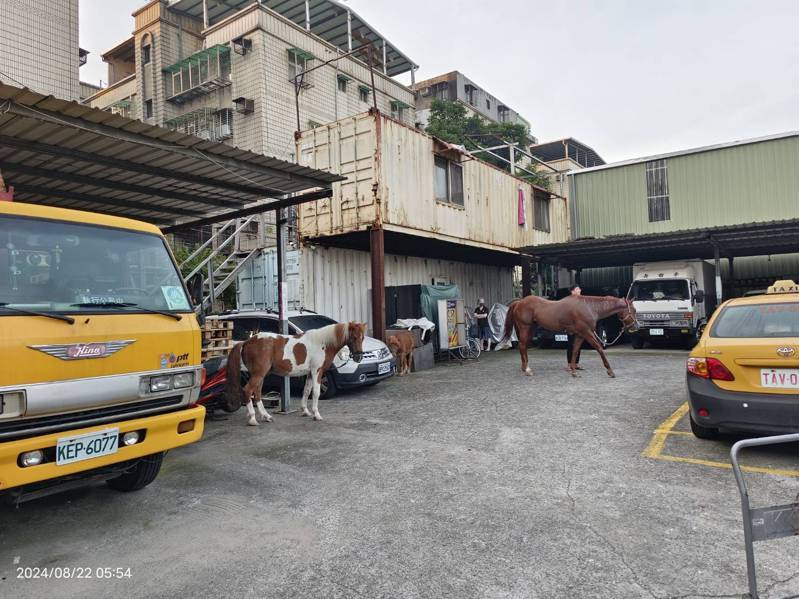 馬場人員將救出的馬匹暫置在馬場大門前。記者黃子騰/翻攝 馬場人員將救出的馬匹暫置在馬場大門前。記者黃子騰/翻攝