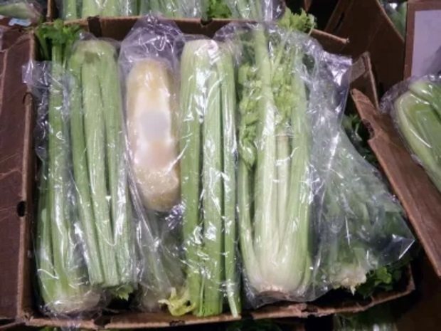 混在芹菜中的毒品。(海關暨邊境保護局) 混在芹菜中的毒品。(海關暨邊境保護局)