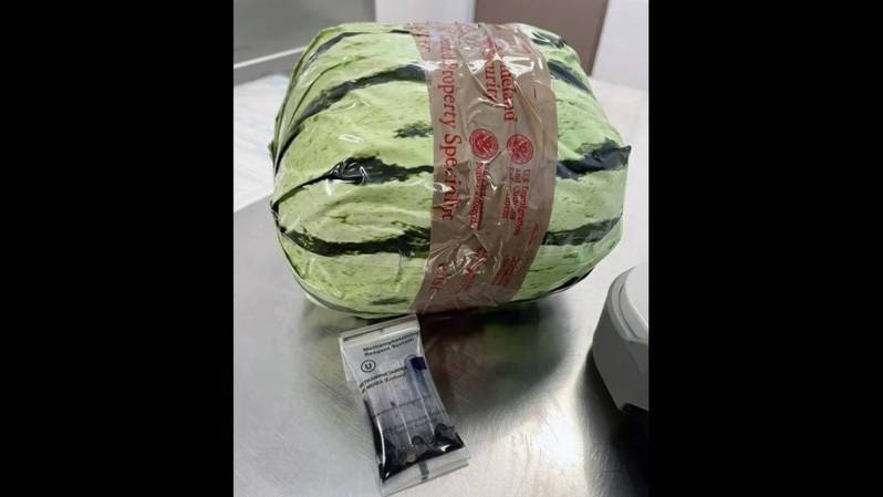 偽裝成西瓜的毒品,近看才會發現不自然之處。(海關暨邊境保護局) 偽裝成西瓜的毒品,近看才會發現不自然之處。(海關暨邊境保護局)