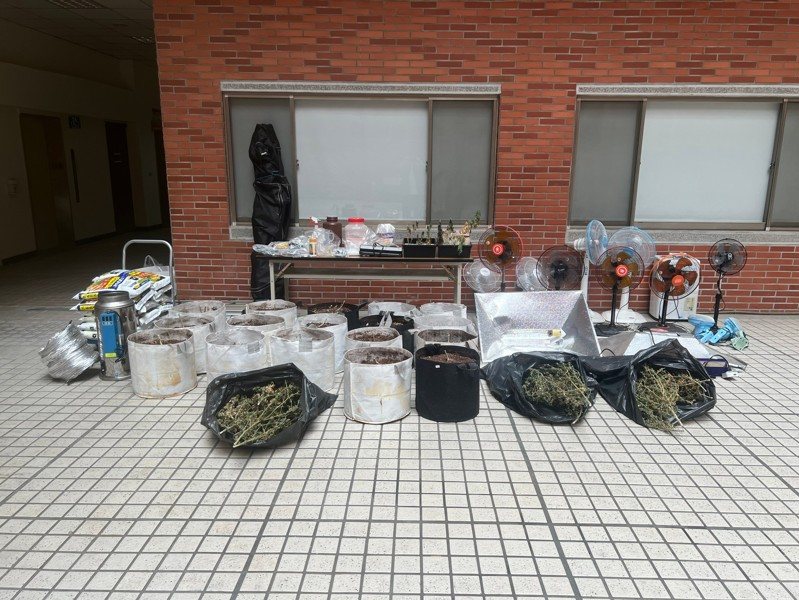 彰化縣警局刑警大隊在員林市山腳路一棟透天厝破獲種植大麻案，查獲大麻活株及加工的成品、半成品。圖／警方提供