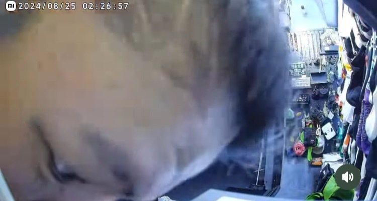 店內監視器畫面高畫質拍下犯嫌2人的大餅臉。記者翁至成／翻攝
