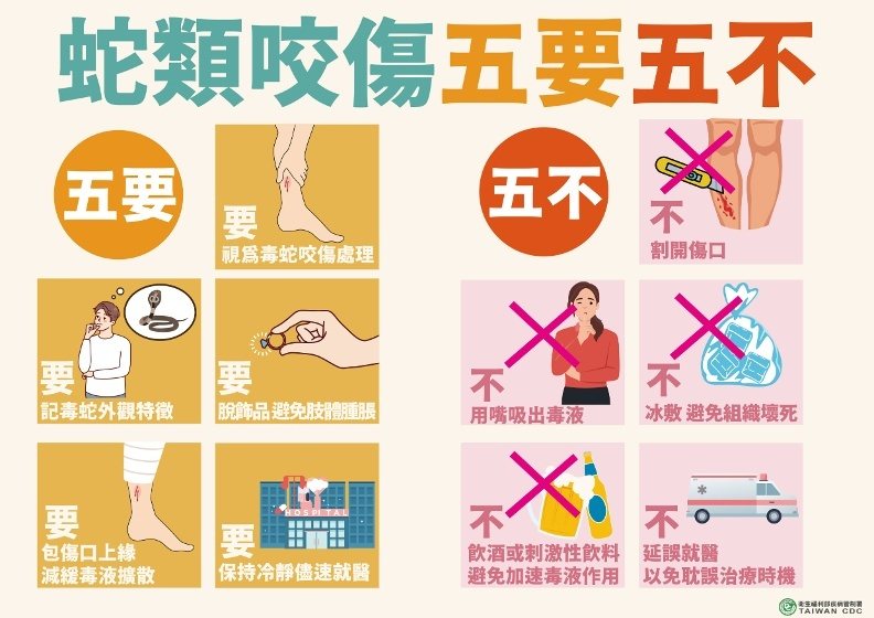 桃園市消防局一大隊迴龍分隊也提醒蛇類咬傷「五要五不」的注意事項讓民眾參考。圖/衛福部疾管署提供 桃園市消防局一大隊迴龍分隊也提醒蛇類咬傷「五要五不」的注意事項讓民眾參考。圖/衛福部疾管署提供