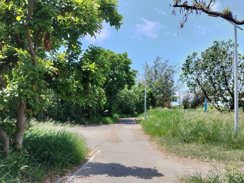 台東市公所表示，這幾天天氣炎熱，加上才剛除草，使得蛇類活動更為頻繁，提醒民眾若發現蛇，請不要驚慌，可撥打1999，將有專業捕蛇團隊協助。記者尤聰光／攝影