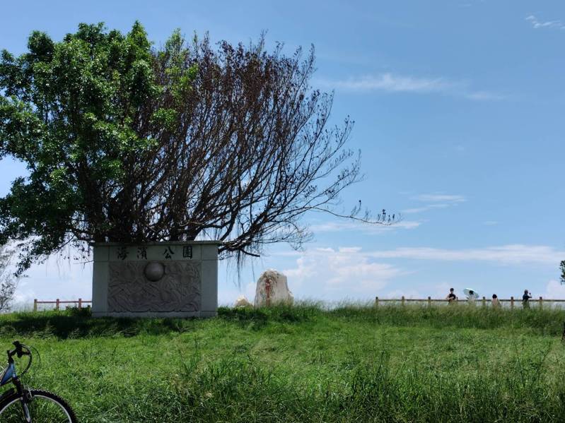 台東市區海濱公園不僅是景點，也在地民眾喜愛休閒運動的地方，但近期因天熱不斷傳出有毒蛇出沒。記者尤聰光／攝影