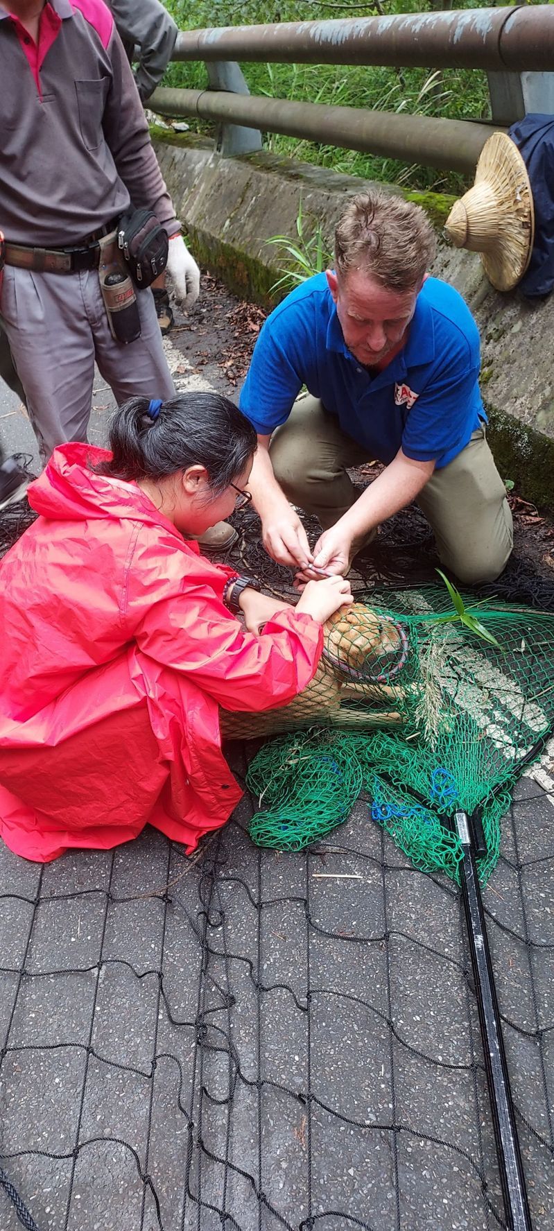 台灣愛克特動物重生救援協會在武陵農場展開一次緊急人道救援行動，成功解救一隻受困懸崖峭壁的流浪狗。圖／武陵農場提供