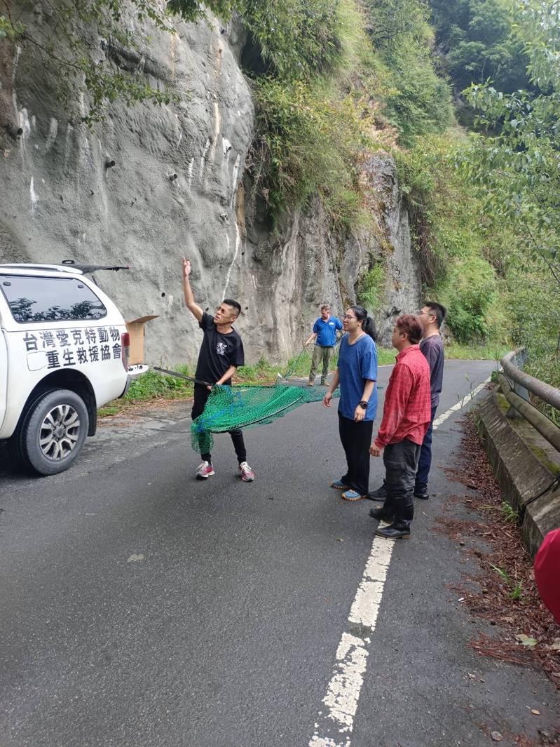 台灣愛克特動物重生救援協會在武陵農場展開一次緊急人道救援行動，成功解救一隻受困懸崖峭壁的流浪狗。圖／武陵農場提供