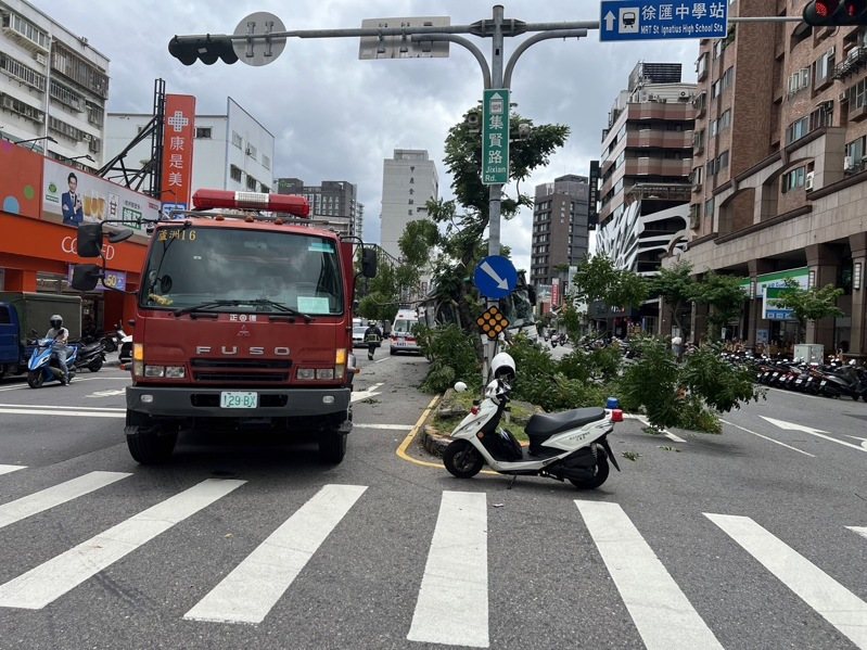 張姓男子今天下午駕駛三重客運811公車,疑因突然頭暈,人車衝撞中央分隔島,釀一人受傷。記者曾伯愷/翻攝 張姓男子今天下午駕駛三重客運811公車,疑因突然頭暈,人車衝撞中央分隔島,釀一人受傷。記者曾伯愷/翻攝