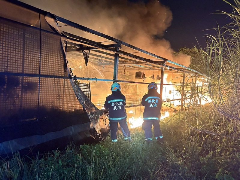 彰化縣花壇鄉一間溫室工寮今晚發生火災，業者溫室裡種植的鹿角蕨付之一炬，損失慘重。圖／彰化消防局提供