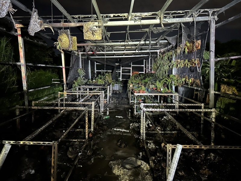 彰化縣花壇鄉一間溫室工寮今晚發生火災，業者溫室裡種植的鹿角蕨付之一炬，損失慘重。圖／彰化消防局提供