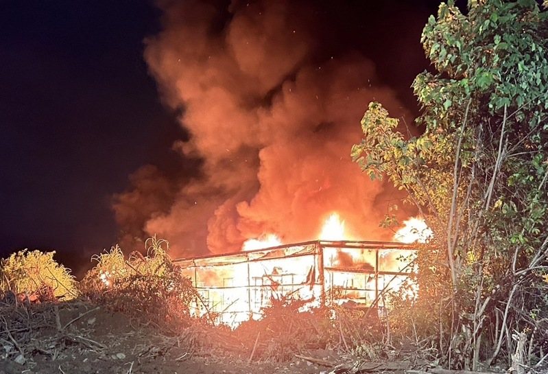 彰化縣花壇鄉一間溫室工寮今晚發生火災，業者溫室裡種植的鹿角蕨付之一炬，損失慘重。圖／彰化消防局提供