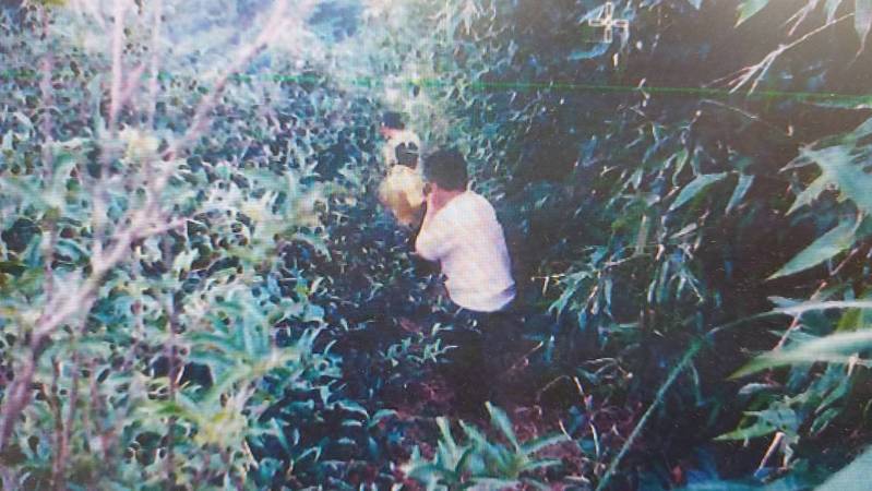 新北市樹林區28年前一名邱姓男子因熱烈追求張姓女子,引發張女兒子不滿,找來簡姓同學、簡父及其廖姓友人幫忙談判,結果邱男遭圍毆重傷,尚有一絲氣息卻被裝進木箱,丟棄在桃園市龜山區致死。圖/警方提供 新北市樹林區28年前一名邱姓男子因熱烈追求張姓女子,引發張女兒子不滿,找來簡姓同學、簡父及其廖姓友人幫忙談判,結果邱男遭圍毆重傷,尚有一絲氣息卻被裝進木箱,丟棄在桃園市龜山區致死。圖/警方提供