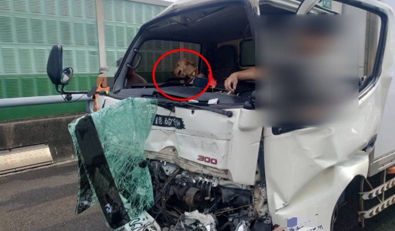 國道1號汐五高架北向環河北路出口前,下午發生4輛車追撞事故,林姓司機受困小貨車內獲救送醫,他帶在車上的小狗跳出車外在路肩行走,工務段人員嘗試將牠帶到安全處,小狗卻拔腿狂奔逃跑,疑似下交流道消失無蹤。記者林昭彰/翻攝 國道1號汐五高架北向環河北路出口前,下午發生4輛車追撞事故,林姓司機受困小貨車內獲救送醫,他帶在車上的小狗跳出車外在路肩行走,工務段人員嘗試將牠帶到安全處,小狗卻拔腿狂奔逃跑,疑似下交流道消失無蹤。記者林昭彰/翻攝