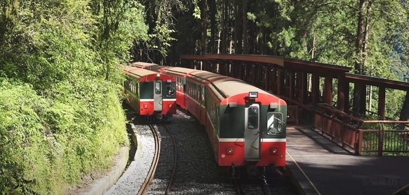 阿里山神木車站。圖／讀者提供