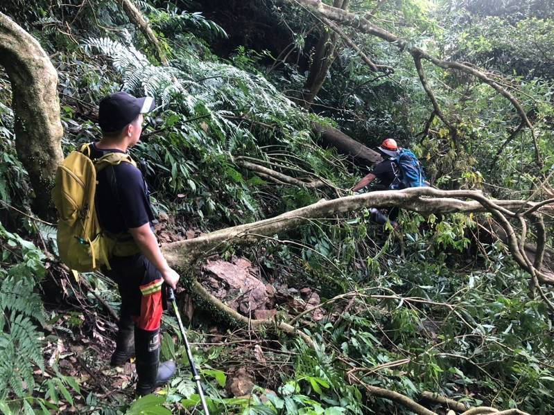新北市三峽區白雞登山步道前天因局部崩塌、樹木傾倒、土石流失無法通行,造成2名老人迷路,消防局獲報派遣救援隊伍入山搜救,步行約2小時後找到人,除了略顯疲憊並未受傷,平安引導下山。圖/消防局提供 新北市三峽區白雞登山步道前天因局部崩塌、樹木傾倒、土石流失無法通行,造成2名老人迷路,消防局獲報派遣救援隊伍入山搜救,步行約2小時後找到人,除了略顯疲憊並未受傷,平安引導下山。圖/消防局提供