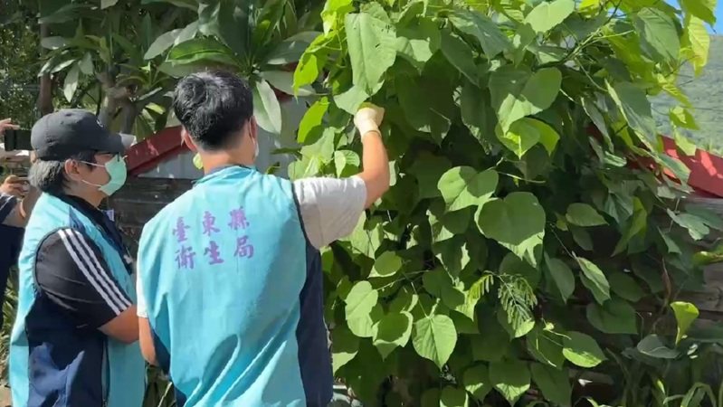 台東縣衛生局派員前往阿嬤家採集阿嬤包阿拜用的相關食材，做進一步化驗。記者尤聰光／攝影