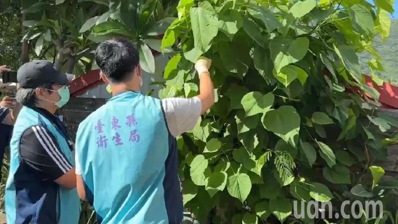 台東縣衛生局派員前往阿嬤家採集阿嬤包阿拜用的相關食材,做進一步化驗。記者尤聰光/攝影 台東縣衛生局派員前往阿嬤家採集阿嬤包阿拜用的相關食材,做進一步化驗。記者尤聰光/攝影