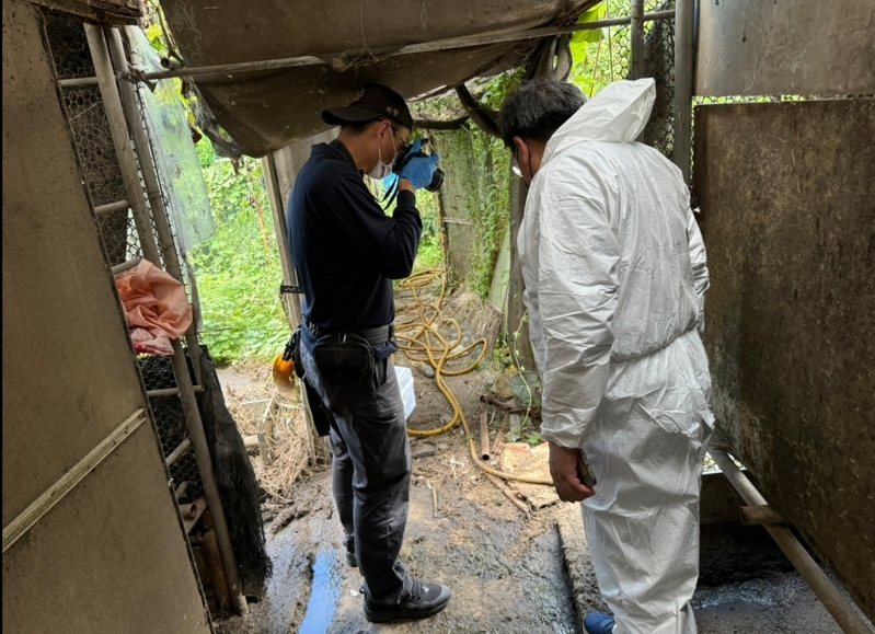 桃園市動保處8月接獲通報就到觀音一私設小型農場稽查有無虐狗宰殺的情形。圖/動保處提供 桃園市動保處8月接獲通報就到觀音一私設小型農場稽查有無虐狗宰殺的情形。圖/動保處提供