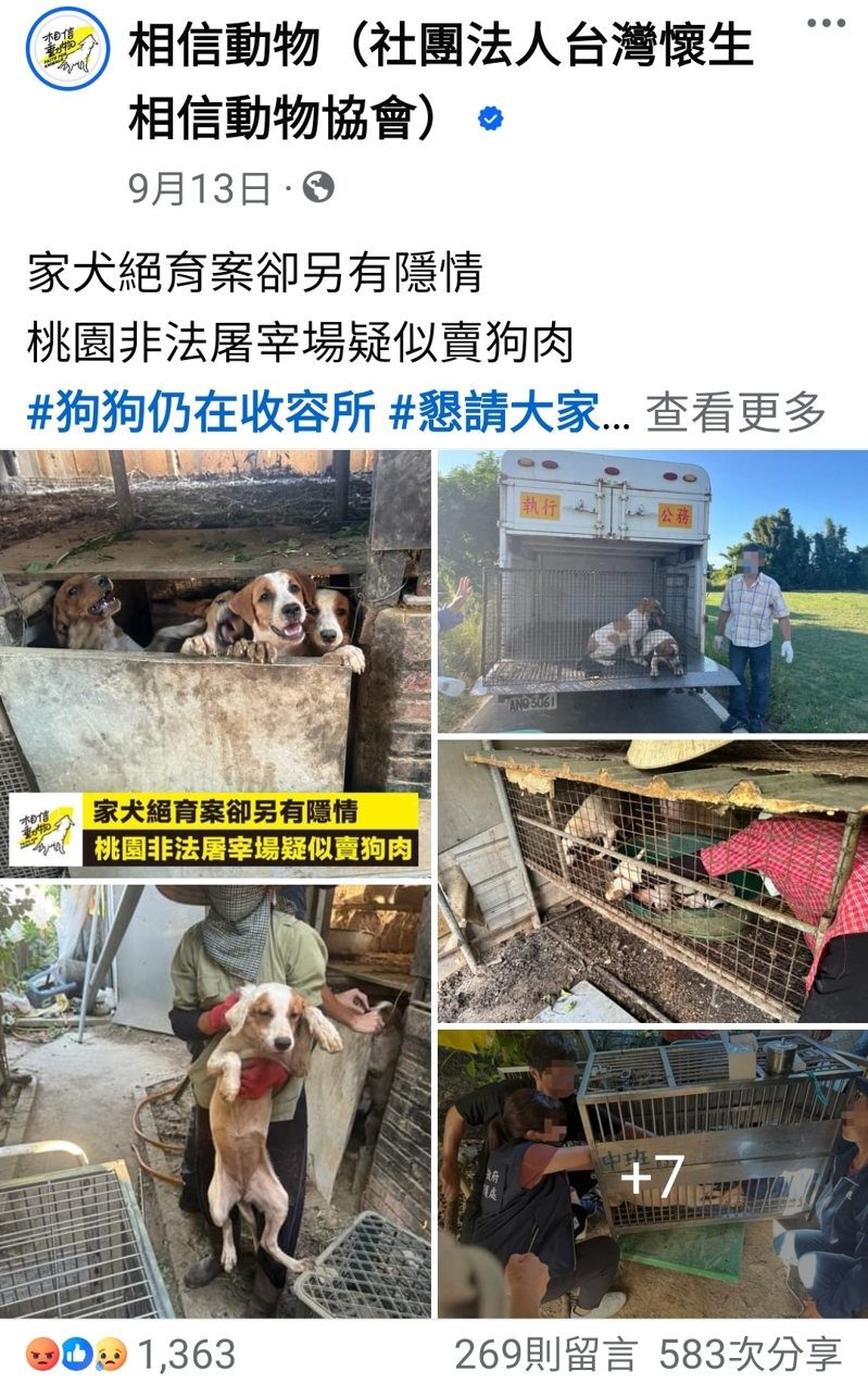 相信協會在粉專質疑觀音一農場虐殺犬隻。圖/台灣懷生相信動物協會粉專 相信協會在粉專質疑觀音一農場虐殺犬隻。圖/台灣懷生相信動物協會粉專