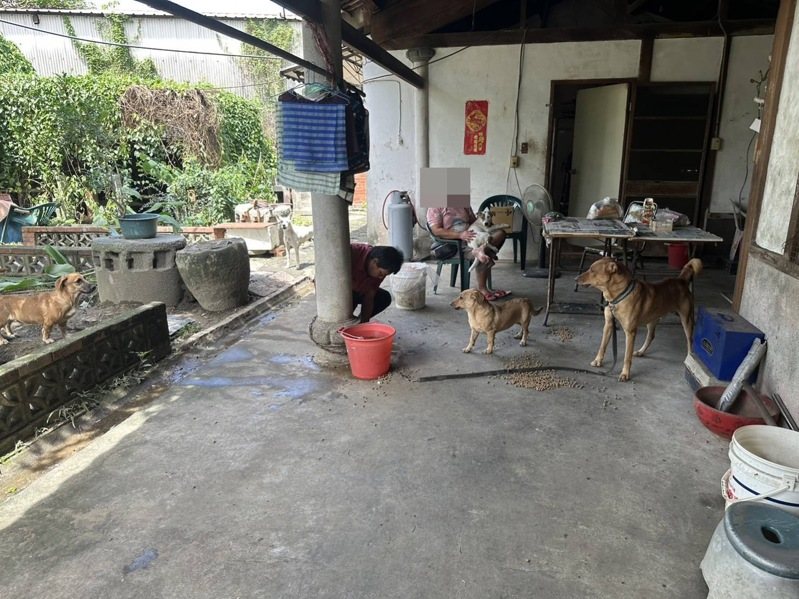 嘉義縣大林鎮周姓女子疑放任愛犬追車咬人，幼童被咬父親憤持鐵棍打狗，家畜所追查發現飼主未盡責任開罰。圖／嘉義縣政府提供