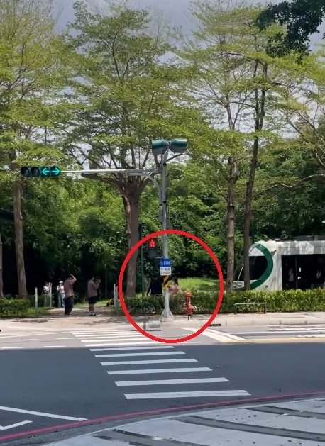 高雄市一對新人昨闖入輕軌有「龍貓隧道」美名的美術館站拍婚紗照，列車進站按喇叭，新人還堅持拍完照才走開，新郎今晨打電話向警方自首並致歉。圖／取自Treads