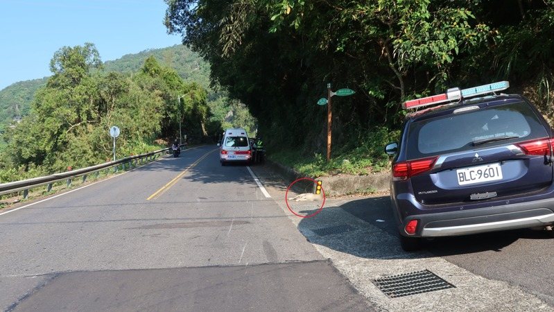 新店警方到場採證，被撞死的狗則陳屍路旁。記者黃子騰／翻攝