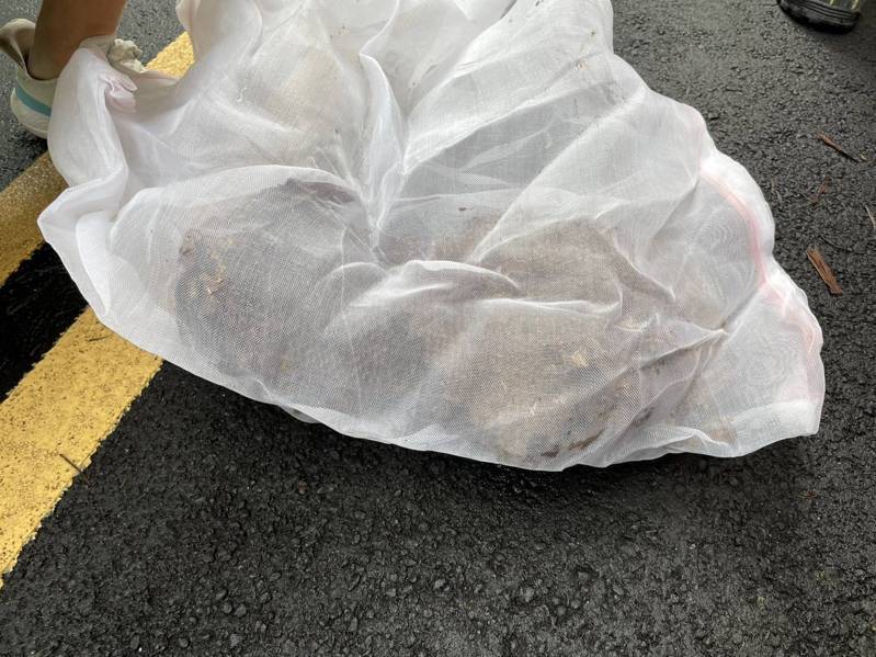 台灣警察專科學校位於台北市文山區,今晨傳出有7名男學生遭虎頭蜂螫傷,所幸意識清醒、送醫後無大礙,消防人員後續已到場將蜂巢清除。記者李隆揆/翻攝 台灣警察專科學校位於台北市文山區,今晨傳出有7名男學生遭虎頭蜂螫傷,所幸意識清醒、送醫後無大礙,消防人員後續已到場將蜂巢清除。記者李隆揆/翻攝