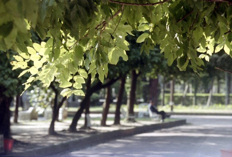 劉姓男子強推拄著拐杖助行器的女街友進內2號公廁猥褻，女街友反抗但仍被摀住口鼻，直到劉發現她內褲上沾有糞便才停手。台北地院依強制猥褻罪判劉1年徒刑，刑後監護3年，台灣高等法院駁回劉上訴。示意圖／聯合報系資料照