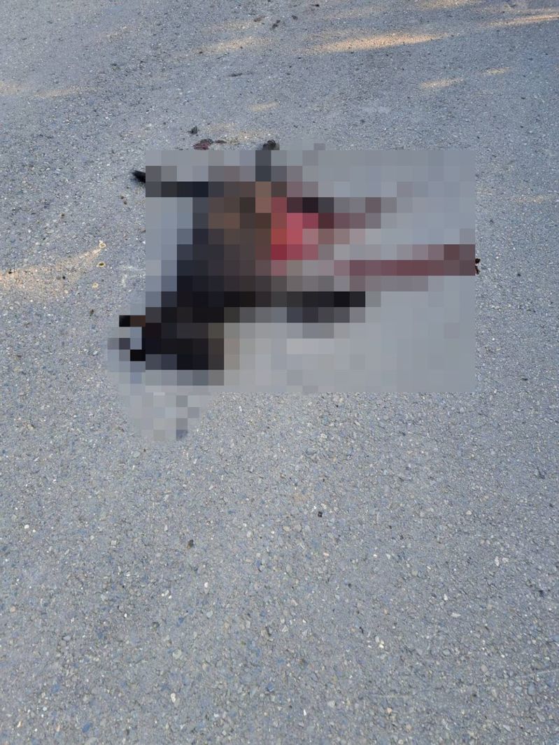 砂石車疑中途轉向故意朝小黑狗方向開過來,小黑狗閃避不及死狀悽慘。圖/翻攝畫面 砂石車疑中途轉向故意朝小黑狗方向開過來,小黑狗閃避不及死狀悽慘。圖/翻攝畫面