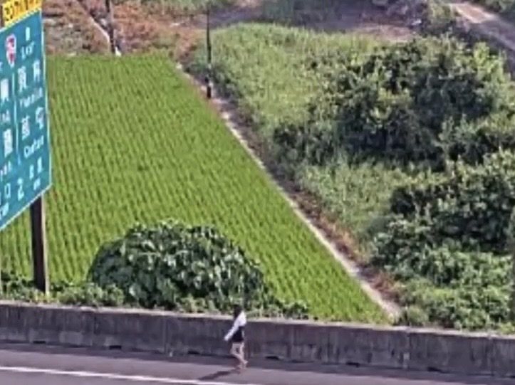 國道1號員林交流道北向路段今天上午一名女子竟走上國道,險象環生,民眾通報警方。圖/翻攝自國道即時影像 國道1號員林交流道北向路段今天上午一名女子竟走上國道,險象環生,民眾通報警方。圖/翻攝自國道即時影像
