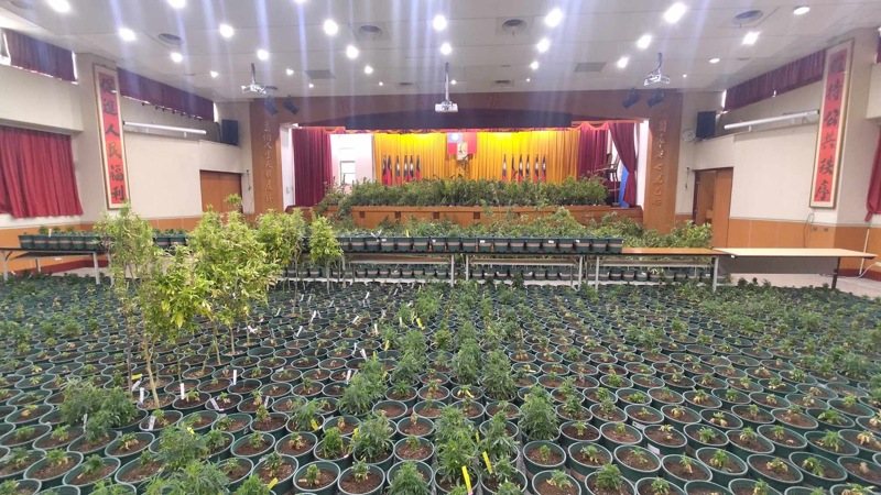 新竹市警方今年5月23日破獲栽種大麻製毒工廠案,共查扣大麻植株4519株、大麻種子1666顆、大麻膏、大麻成品、專業燈具、溫控系統、灌溉設備等證物,市值破新台幣20億元。圖/警方提供 新竹市警方今年5月23日破獲栽種大麻製毒工廠案,共查扣大麻植株4519株、大麻種子1666顆、大麻膏、大麻成品、專業燈具、溫控系統、灌溉設備等證物,市值破新台幣20億元。圖/警方提供