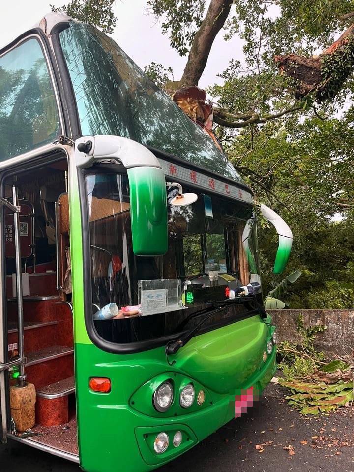 國立海大通識課程戶外教學，遊覽車在新北市貢寮區復興街撞上路，擋風玻璃破裂，樹幹插入車內，造成1名女大生擦傷。圖／讀者提供