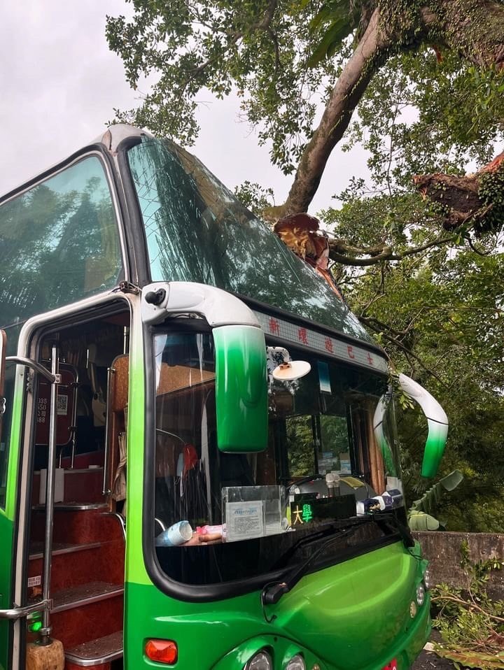 國立海大通識課程戶外教學，遊覽車在新北市貢寮區復興街撞上路，擋風玻璃破裂，樹幹插入車內，造成1名女大生擦傷。圖／讀者提供