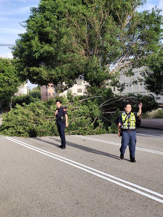 台中市梧棲區文昌路與文昌路100巷口,今天有路樹不敵強風被吹斷,壓毀一輛轎車,幸好無人受傷,員警趕到現場警戒。圖/警方提供 台中市梧棲區文昌路與文昌路100巷口,今天有路樹不敵強風被吹斷,壓毀一輛轎車,幸好無人受傷,員警趕到現場警戒。圖/警方提供