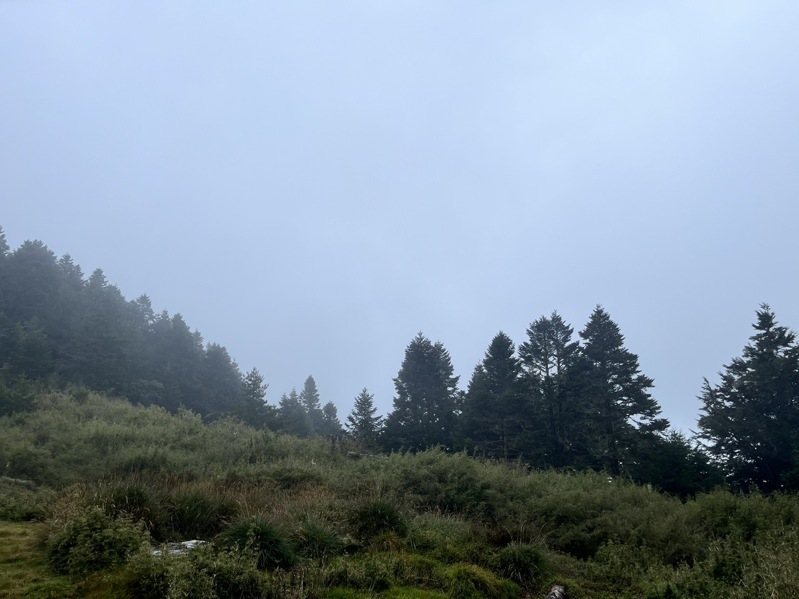 太魯閣國家公園山區近日接連發生3起山域救援事故,太管處呼籲民眾上山前務必做好準備。圖/太管處提供 太魯閣國家公園山區近日接連發生3起山域救援事故,太管處呼籲民眾上山前務必做好準備。圖/太管處提供