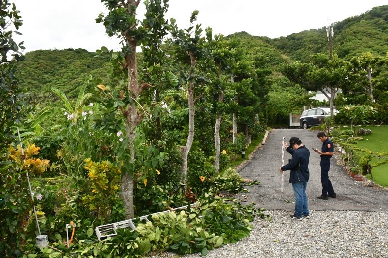 花蓮壽豐鄉鹽寮村賴姓老闆趁山陀兒颱風來之前修剪樹木,卻不慎從3公尺高的鋁梯摔下來,經送醫今天傷重不治。圖/民眾提供 花蓮壽豐鄉鹽寮村賴姓老闆趁山陀兒颱風來之前修剪樹木,卻不慎從3公尺高的鋁梯摔下來,經送醫今天傷重不治。圖/民眾提供