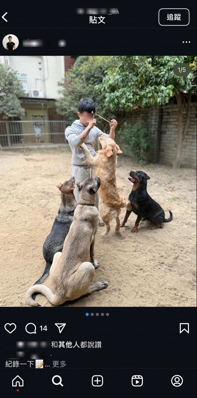 葉姓健身教練平時飼養大型犬,社群上滿滿愛狗畫面及留言,卻涉嫌凌虐小姊弟。圖/翻攝自IG 葉姓健身教練平時飼養大型犬,社群上滿滿愛狗畫面及留言,卻涉嫌凌虐小姊弟。圖/翻攝自IG