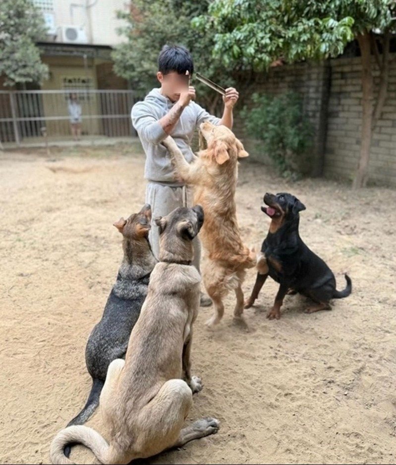 健身房葉姓負責人飼養大型犬,社群上滿滿愛狗畫面,卻涉嫌凌虐小姊弟。圖/翻攝自IG 健身房葉姓負責人飼養大型犬,社群上滿滿愛狗畫面,卻涉嫌凌虐小姊弟。圖/翻攝自IG