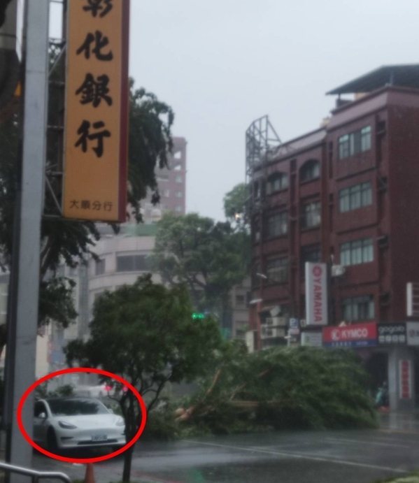 高雄市苓雅區建國路與輔仁路左右兩邊路樹不敵山陀兒強風被吹倒,停在路邊的特斯拉轎車後方擋風玻璃碎裂,幸無人受傷。圖/記者爆料網 高雄市苓雅區建國路與輔仁路左右兩邊路樹不敵山陀兒強風被吹倒,停在路邊的特斯拉轎車後方擋風玻璃碎裂,幸無人受傷。圖/記者爆料網