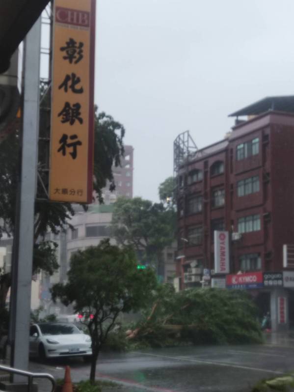 高雄市苓雅區建國路與輔仁路左右兩邊路樹不敵山陀兒強風被吹倒,停在路邊的特斯拉轎車後方擋風玻璃碎裂,幸無人受傷。圖/記者爆料網 高雄市苓雅區建國路與輔仁路左右兩邊路樹不敵山陀兒強風被吹倒,停在路邊的特斯拉轎車後方擋風玻璃碎裂,幸無人受傷。圖/記者爆料網